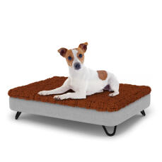 Chien assis sur un petit lit pour chien Topology avec surmatelas en microfibre et pieds en épingle à cheveux en métal noir