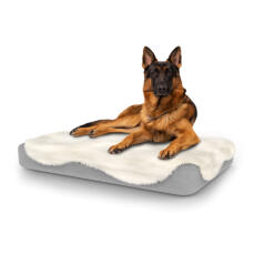 Chien assis sur un grand lit pour chien Topology avec une couverture en peau de mouton