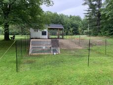 Clôture pour poules autour d'un poulailler et d'un abri dans un champ d'herbe