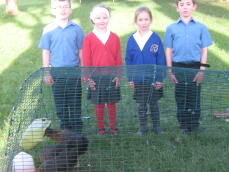 Regan, April, Reyhan, Brandyn avec des poulets