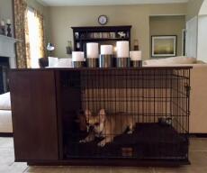 Bosswell le chien dans un noyer Fido Studio avec une armoire attachée dans un salon