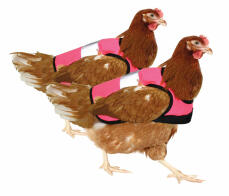 Paquet double de vestes de poulet rose à haute visibilité