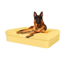 Chien assis sur un lit pour chien en mousse à mémoire de forme de grande taille mellow yellow