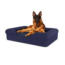 Chien assis sur un grand lit en mousse à mémoire de forme bleu nuit pour chien