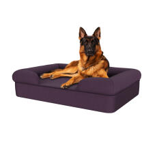 Chien assis sur un prunier violet grand lit pour chien en mousse à mémoire de forme