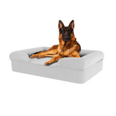 Chien assis sur une pierre gris grand lit pour chien en mousse à mémoire de forme à traverses
