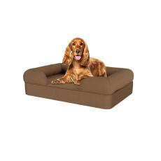 Chien assis sur un lit pour chien en mousse à mémoire de forme de couleur moka.