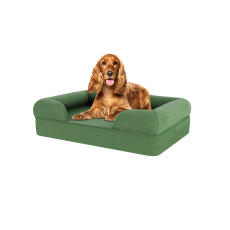 Chien assis sur un lit pour chien en mousse à mémoire de forme vert sauge