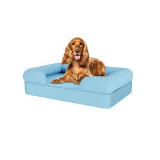 Chien assis sur un lit pour chien en mousse à mémoire de forme de couleur bleu ciel