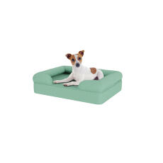 Chien assis sur un petit lit pour chien en mousse à mémoire de forme bleu sarcelle