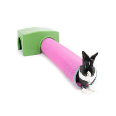 Lapin jouant dans l'abri et le tunnel de jeu vert Zippi 