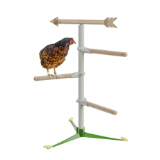 Poule dans le kit de système de perchoir autoportant