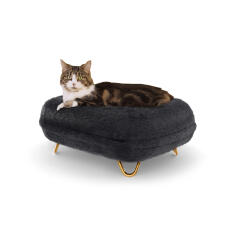 Chat assis sur Maya lit pour chat donut en earl grey avec Gold hairpin feet