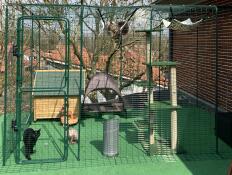 Omlet catio extérieur avec accessoires et chats à l'intérieur