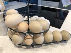 Des oeufs de différentes tailles, petits et grands, sur une table tournante.