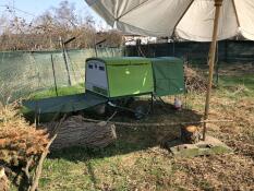 Omlet vert Eglu Cube grand poulailler et parcours pour poules