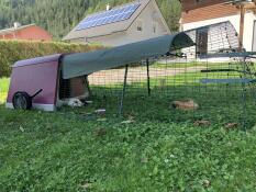 Un clapier à lapins avec couvercle Eglu Go 