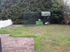 Deux canards dans un parcours avec un poulailler Cube dans un jardin