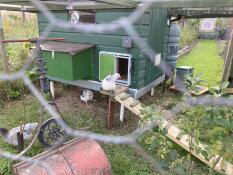 Porte automatique sur la villa de poule dans cromer ensoleillé 