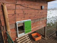Omlet trappe automatique pour les poulets