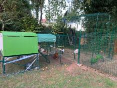Protégées des intempéries mes poulettes