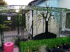 Un Omlet catio décoré de plantes.