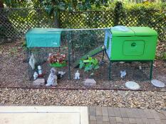 Un poulailler vert et un parcours pour les petits poulets