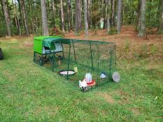 Un poulailler avec un parcours de 3 mètres à l'orée d'une forêt