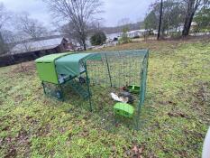 Un grand poulailler vert Cube avec un couvercle sur le dessus et un parcours attaché et des poules à l'intérieur