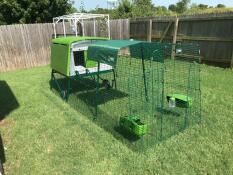 Omlet vert Eglu Cube grand poulailler et parcours dans le jardin