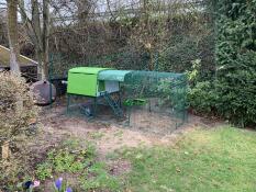 Omlet vert Eglu Cube grand poulailler et parcours dans le jardin