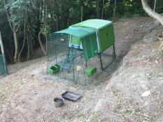 Un poulailler vert avec un parcours de 2 m et une couverture verte dans une cour arrière