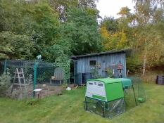 Un poulailler vert dans un grand jardin
