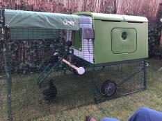 Omlet vert Eglu Cube grand poulailler et parcours pour poules