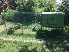Grand poulailler vert avec un parcours dans un jardin avec des poules à l'intérieur