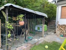 Cube poulailler dans un jardin avec un parcours attenant