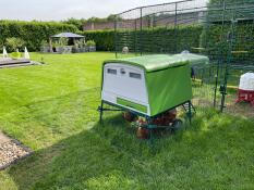 Vert Eglu Cube grand poulailler et parcours dans le jardin