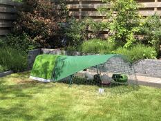 Un poulailler vert et un parcours avec couverture, dans un jardin