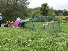 Un clapier à lapins rose avec un parcours attaché