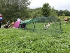 Un clapier à lapins rose avec un parcours attaché