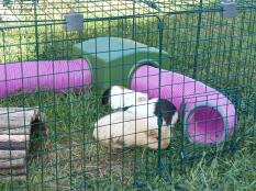 Je suis très contente de mon enclos. Facile à monter et à démonter. Mes 3 petites cochons d'inde sont bien en sécurité. Au top 