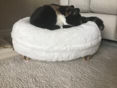 Un chat qui dort dans son lit blanc