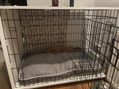 Tigre aime feries bench ????