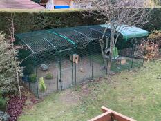 Bunny Land 