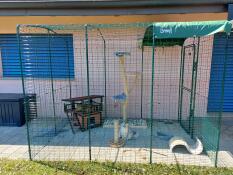 Enclos 2x3x2 m pour chats