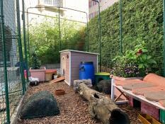 Enclos pour cochons d'Inde
