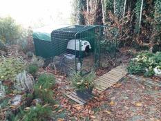 Grand Enclos Pour Lapins