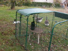 Notre enclos pour lapins Omlet