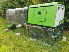 Un poulailler Eglu Cube sur l'herbe avec des couvertures transparentes sur le haut de son parcours et sur le côté