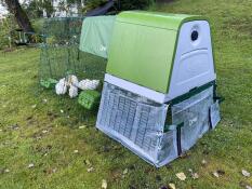 Omlet vert Eglu Go up poulailler et parcours surélevés pour poules